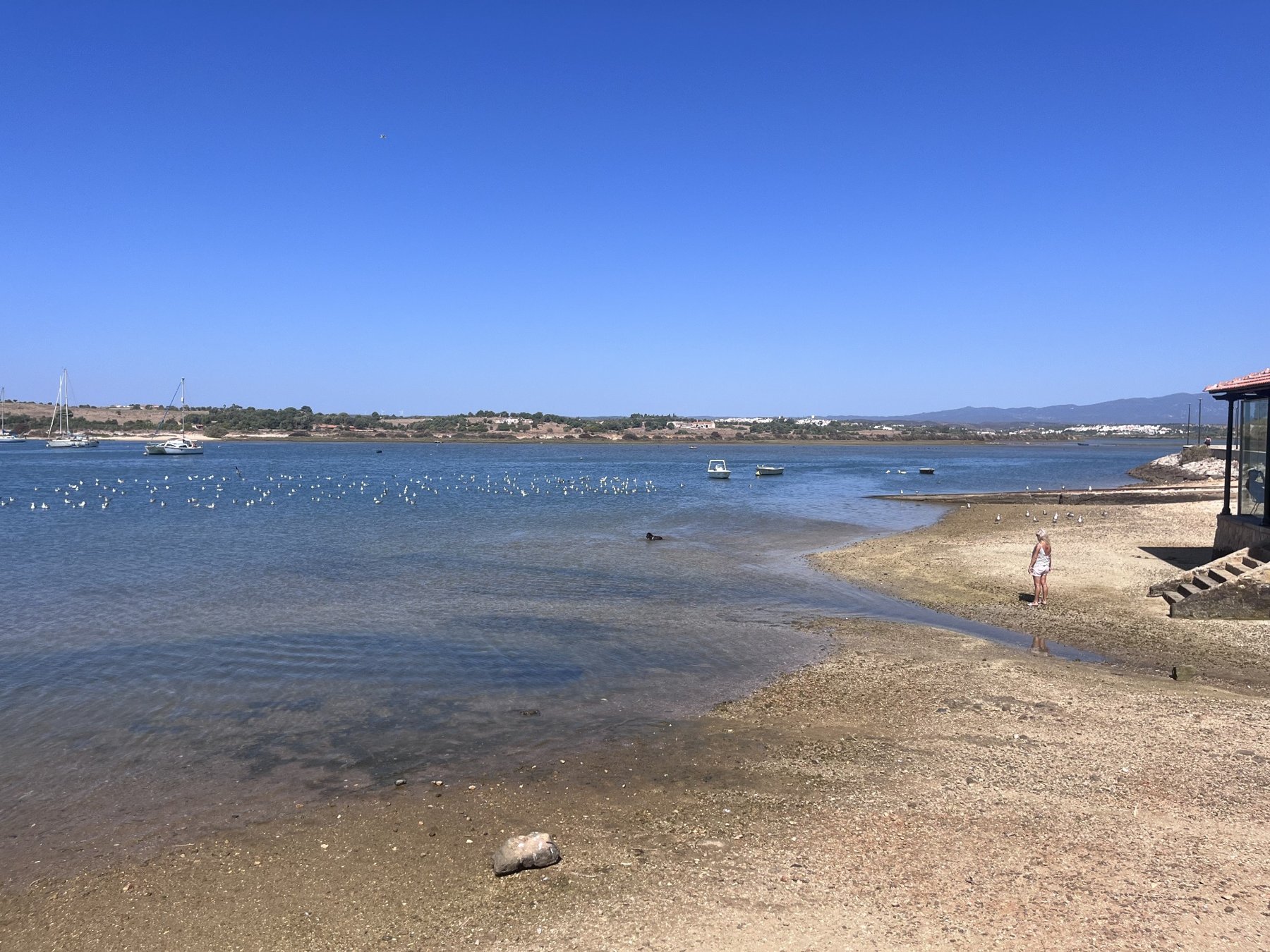 A broad waterfront and open shoreline beneath a blue sky